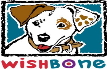 Wishbone Icon